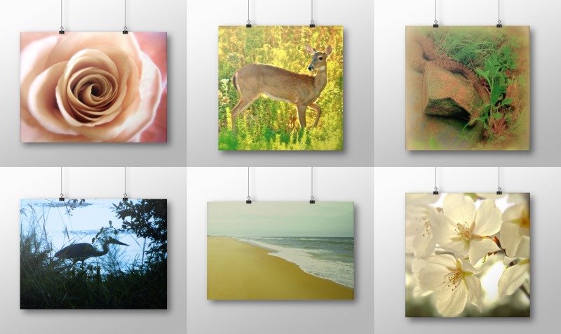 Nature Wall Art preview