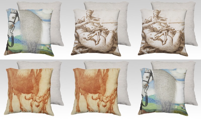Aperçu de Fine Art Pillows