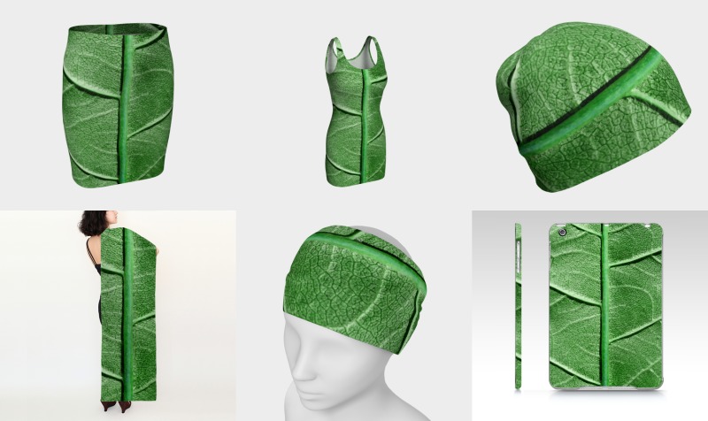 Veined Green Leaf preview