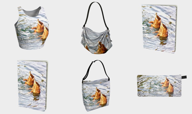 Ducks! Synchronized Swimming Team  preview
