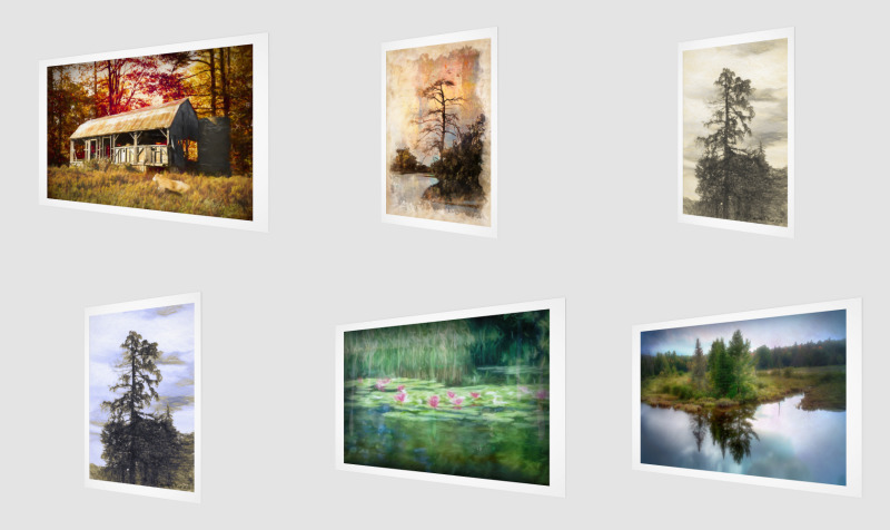 Canvases and Prints preview