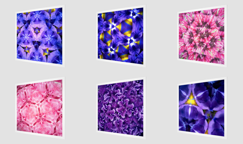 Aperçu de Kaleidoscope Photography (flowers, plants, trees)