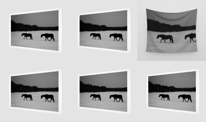 Horses On Snow preview