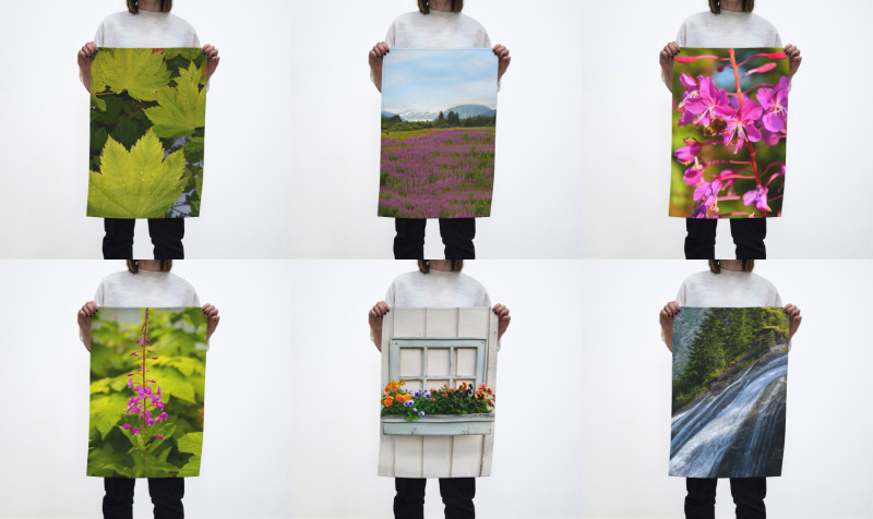 Cotton Tea Towels preview