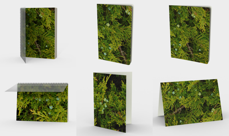 Cozy Days Homebody Evergreen And Berries Collection preview