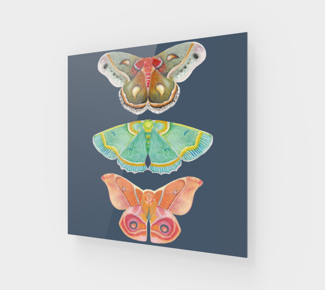 3 Moths preview #1