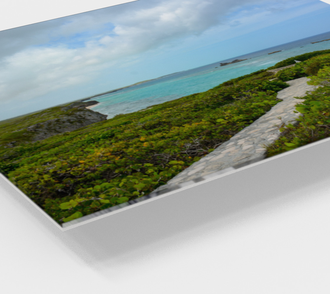 Aperçu de Path to the Secret Beach at Mudjin Harbor on Middle Caicos Wall Art #2