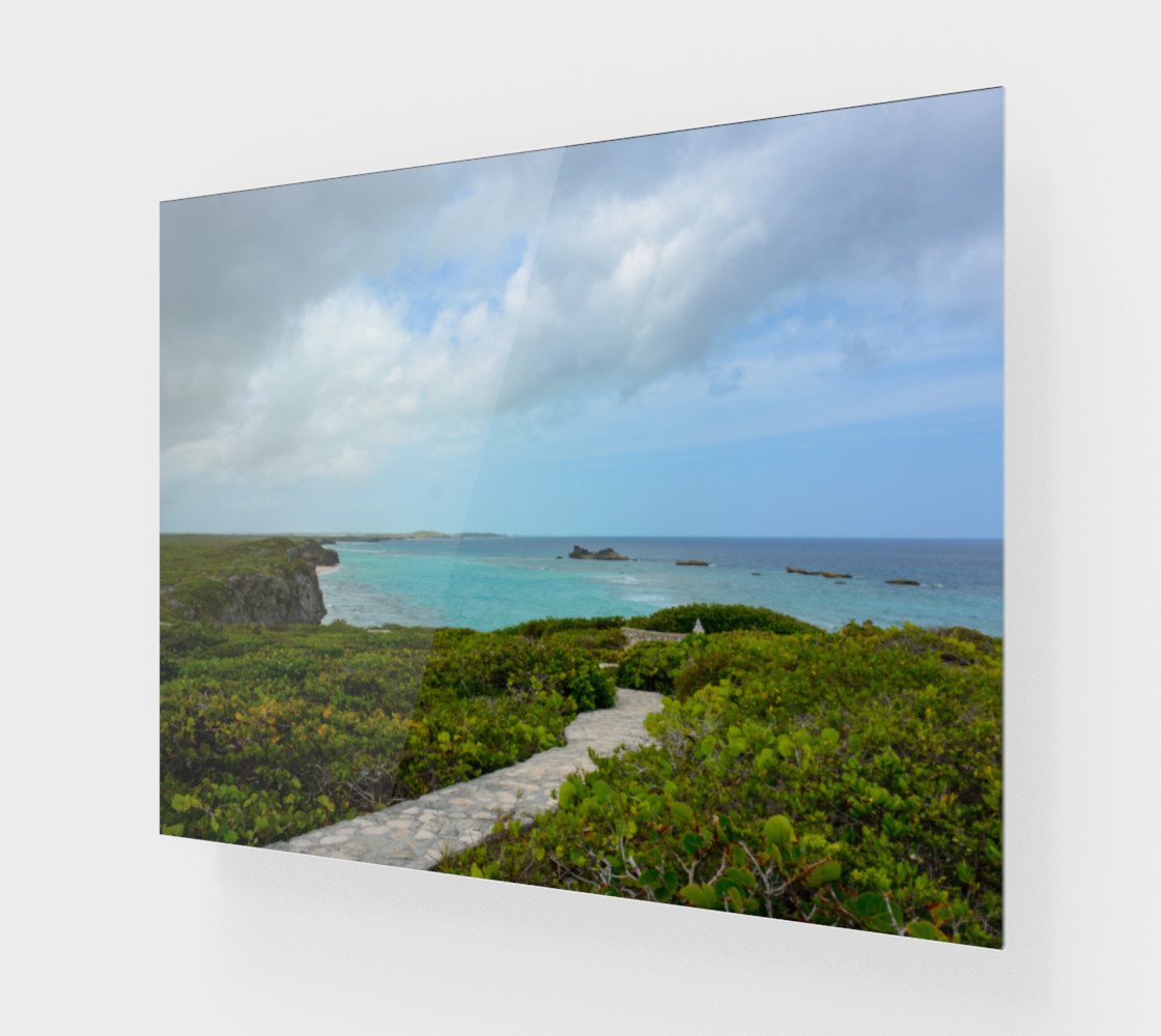 Aperçu de Path to the Secret Beach at Mudjin Harbor on Middle Caicos Wall Art #1