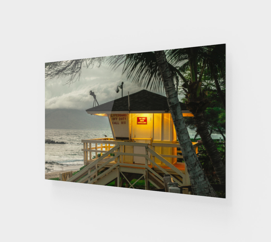 Lifeguard On Duty preview #1