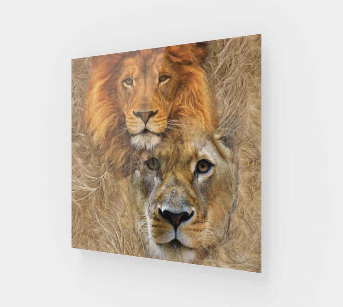 Lion King and Queen preview #1