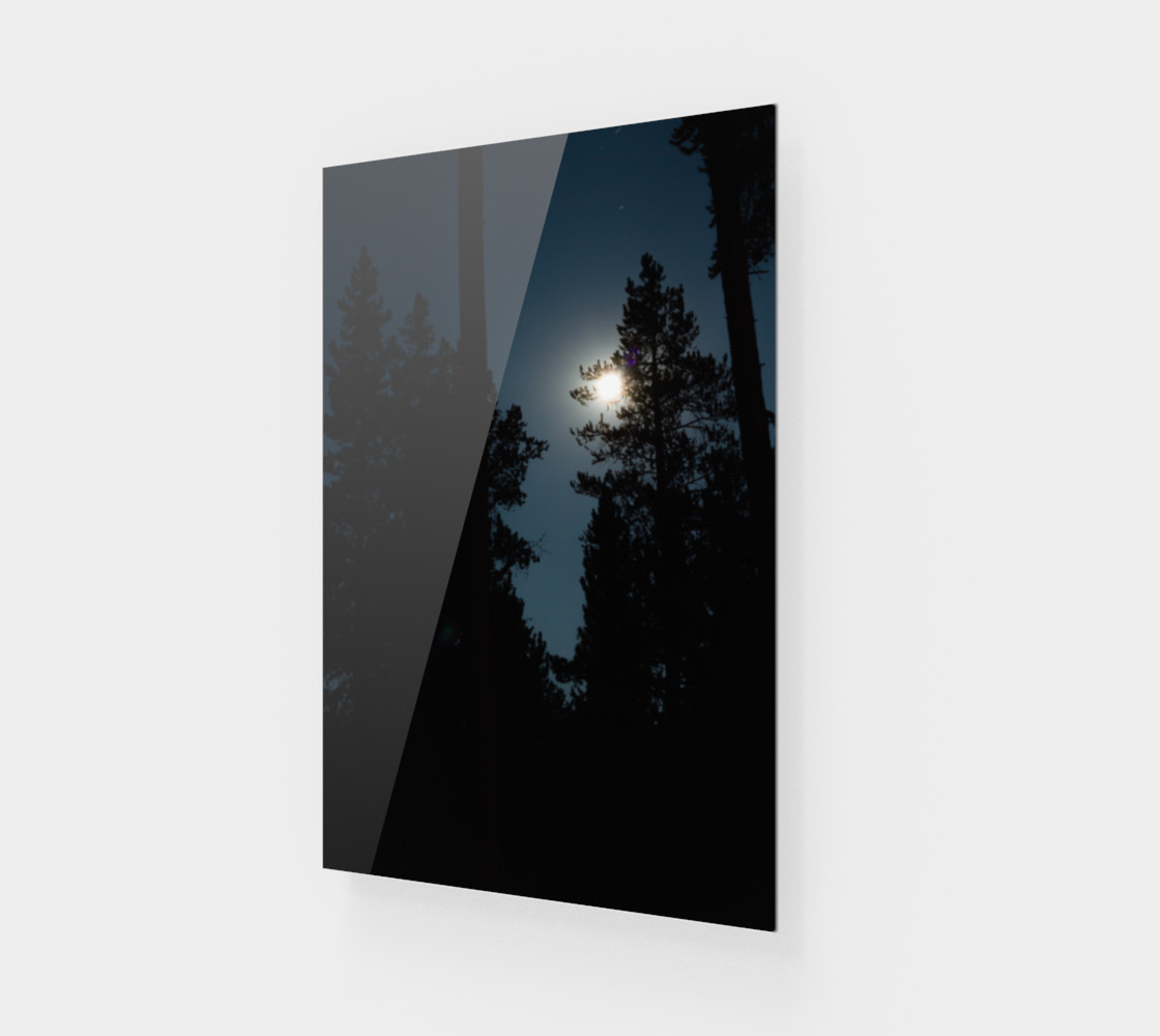 Moonlit Night preview #1