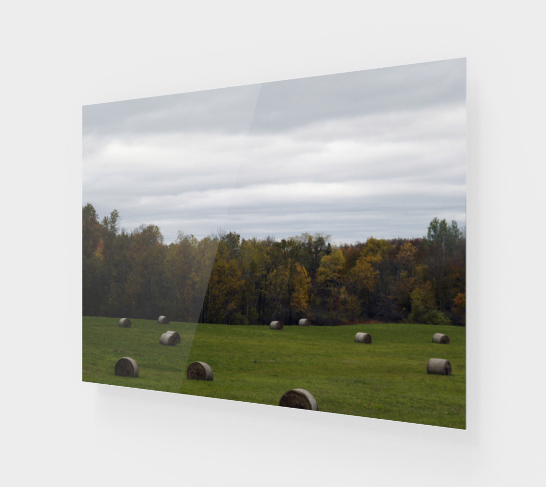 Aperçu de Hay Field - Wakefield Quebec Canada #1