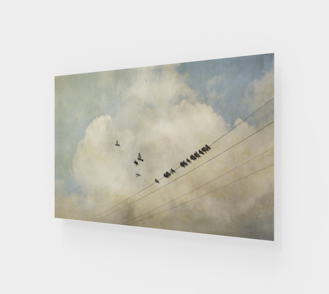Birds on a Wire preview #1