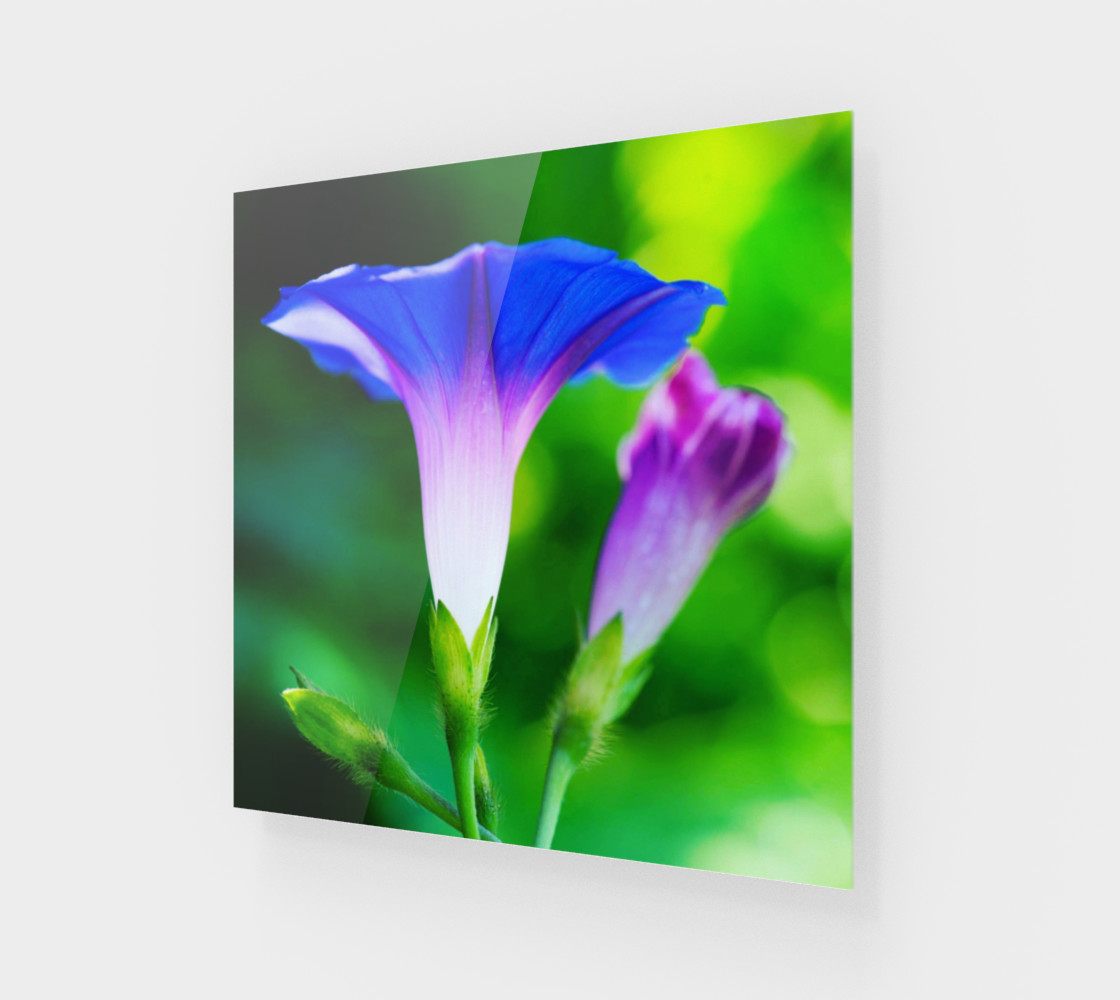 Trumpet Flower preview #1
