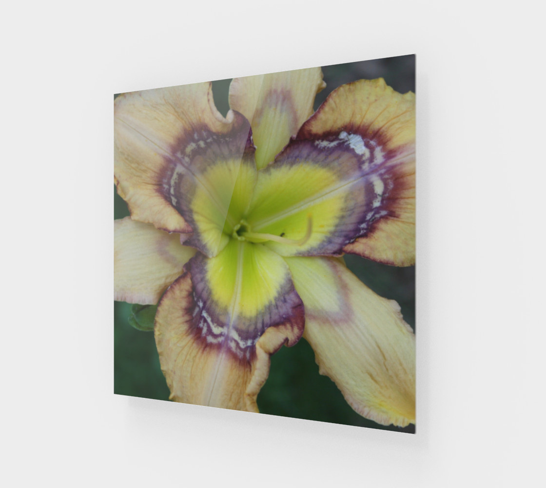 pollen swappers preview #1