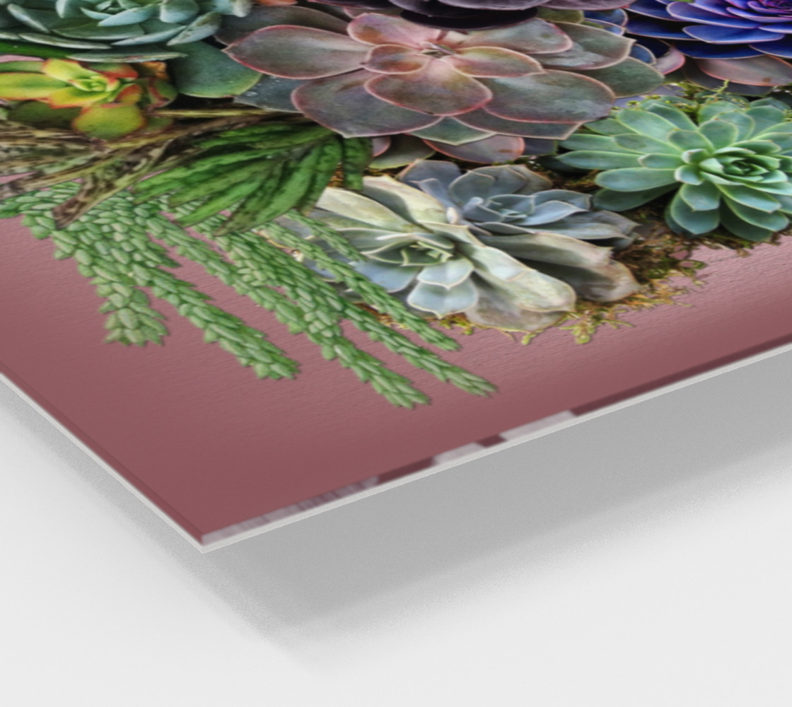 Succulents from my garden preview #2