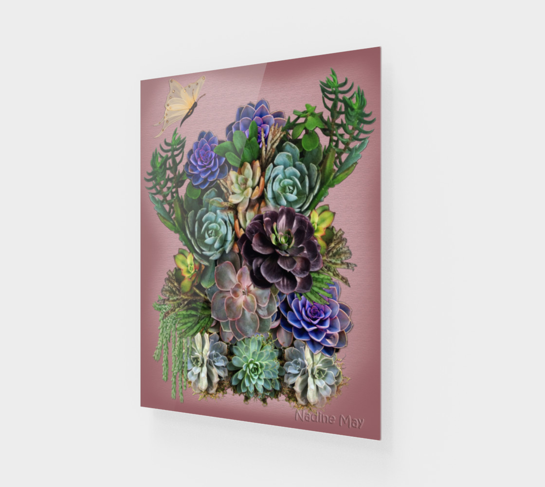Succulents from my garden preview #1