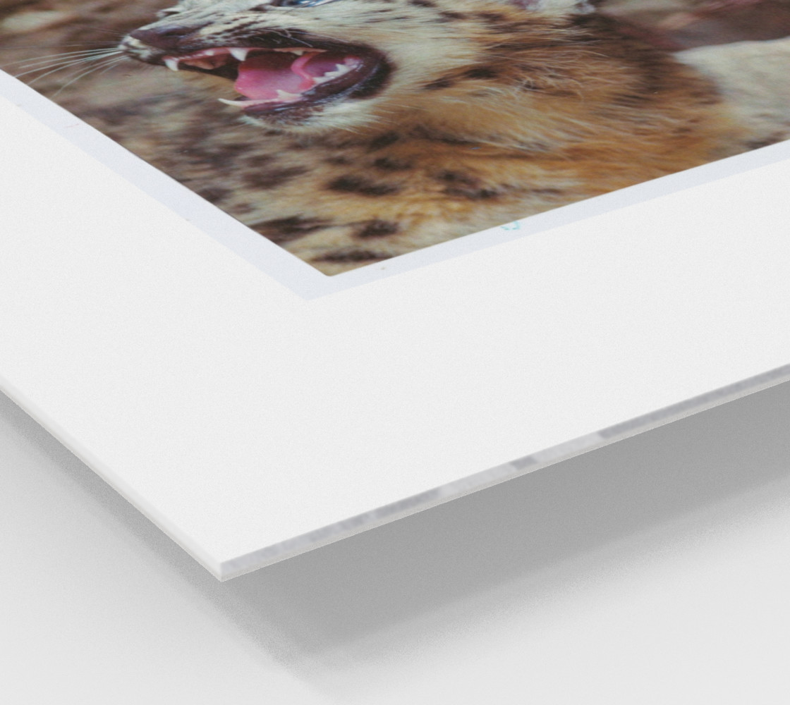 YEAR! preview #2