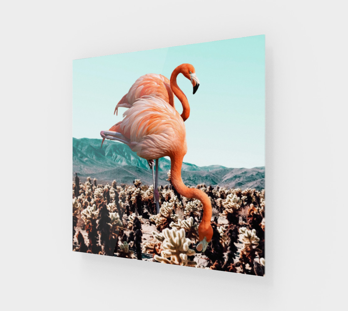 Flamingos In The Desert preview #1