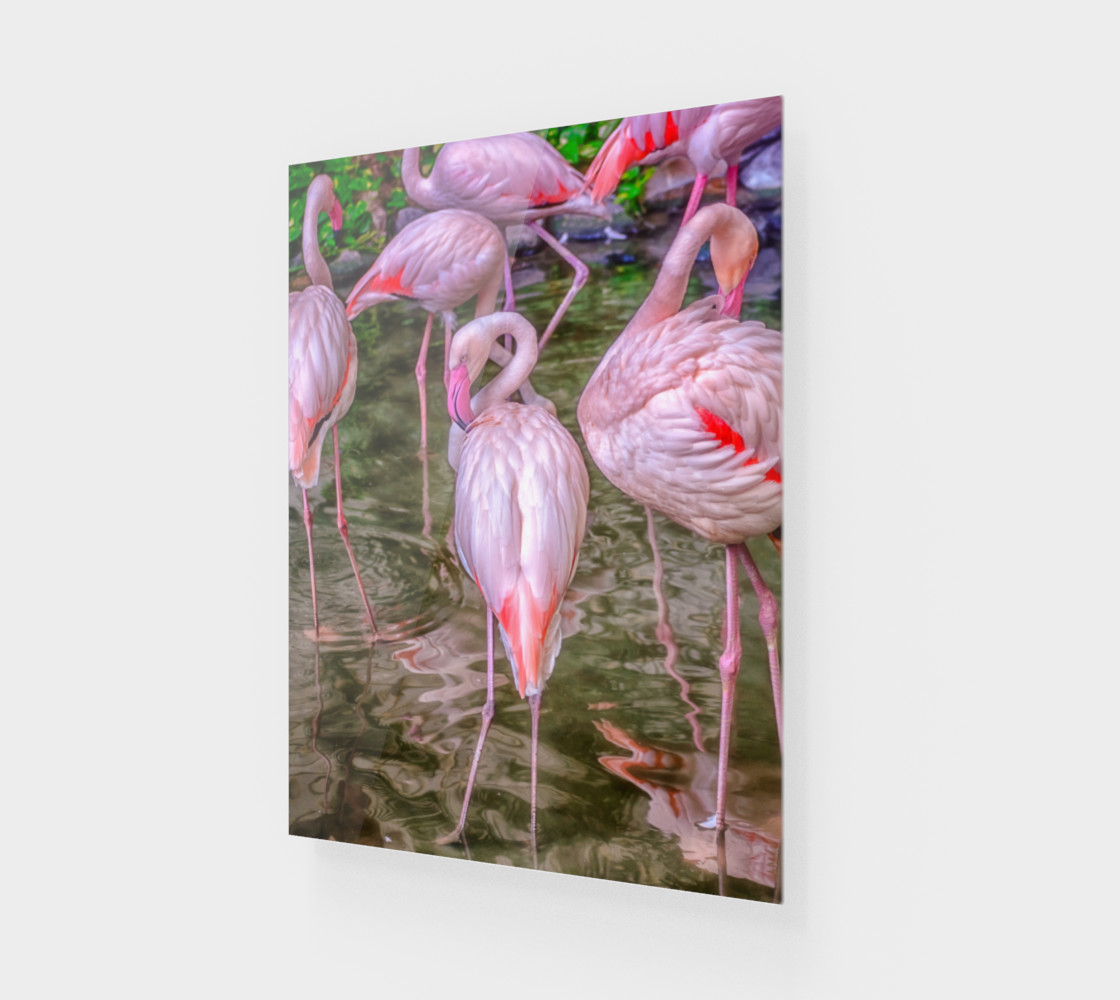 Aperçu de Pink Flamingos #1