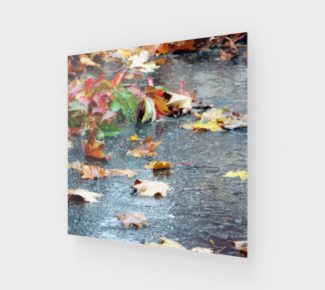 Autum Indecision preview #1