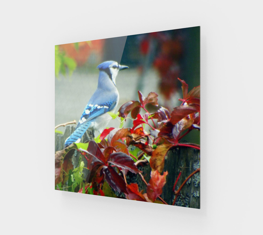 Blue Contemplation preview #1
