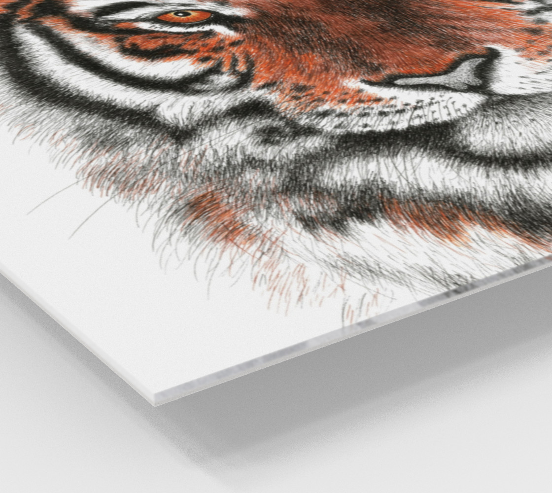 Bengal Tiger preview #2