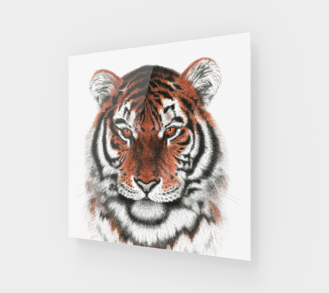 Bengal Tiger preview #1