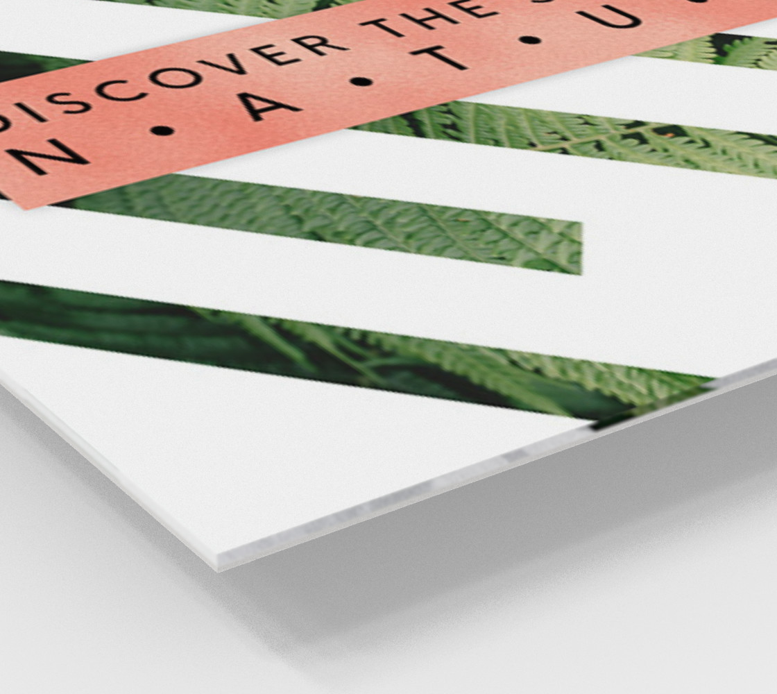 nature preview #2