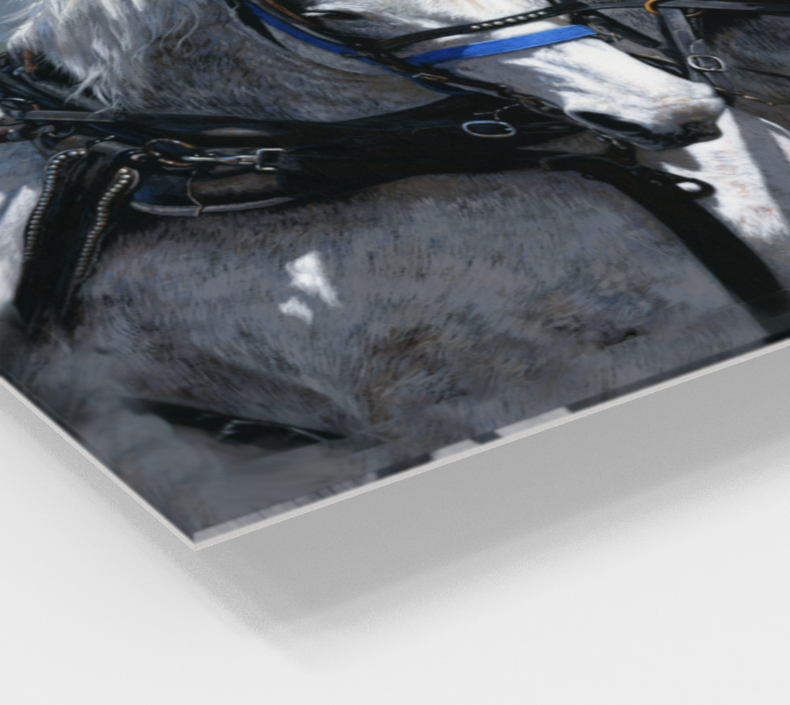 Power and Grace Canvas preview #2