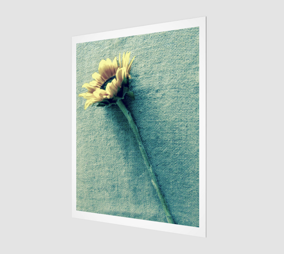 Sunflower & Denim preview #1