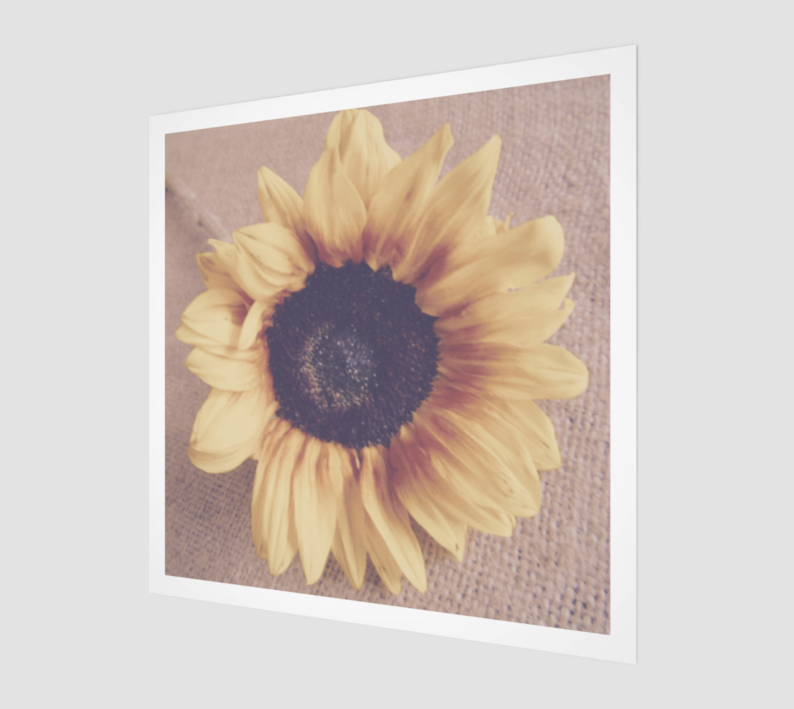 Soft Sunflower II 3D preview