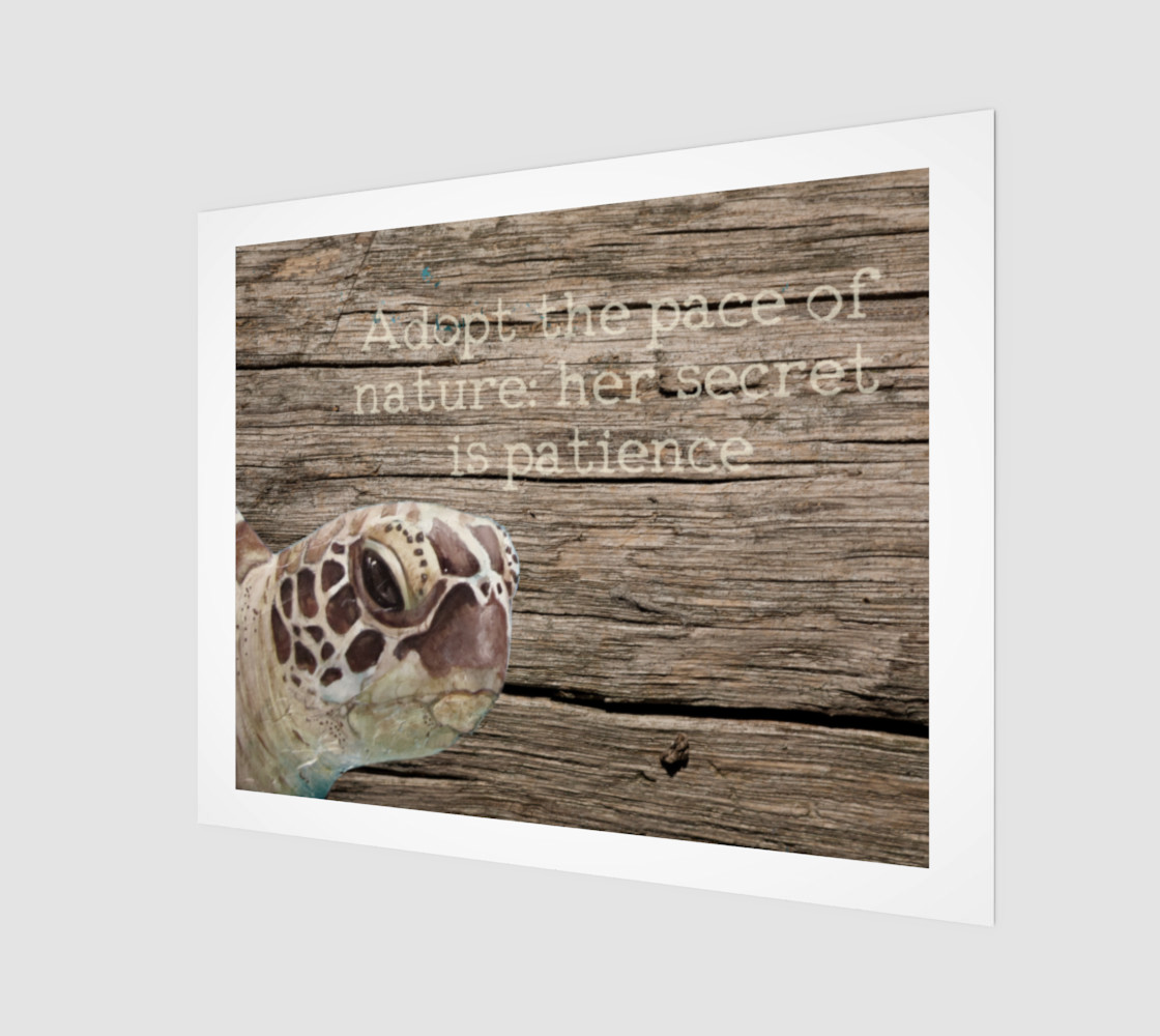 Patience Sea Turtle Wood Print 3D preview