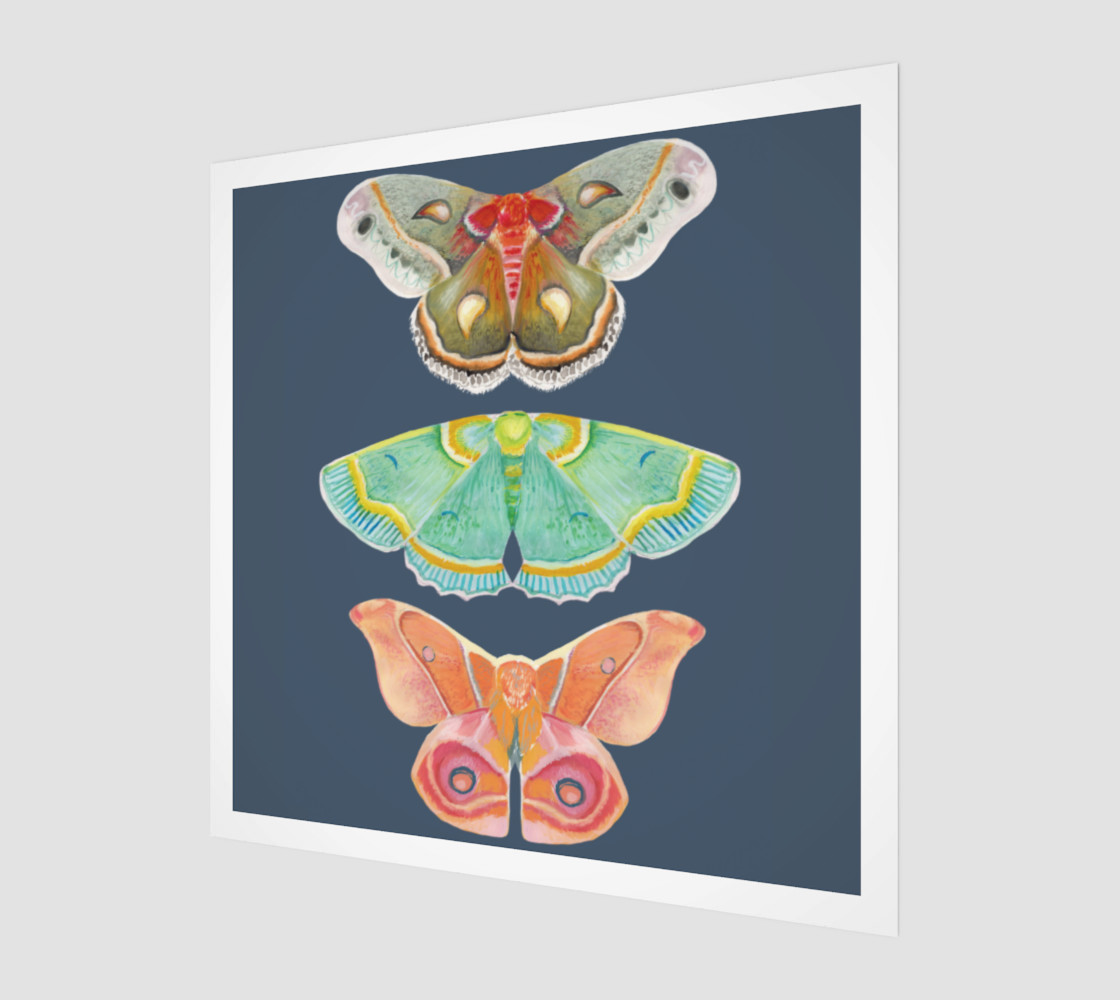 3 Moths preview #1
