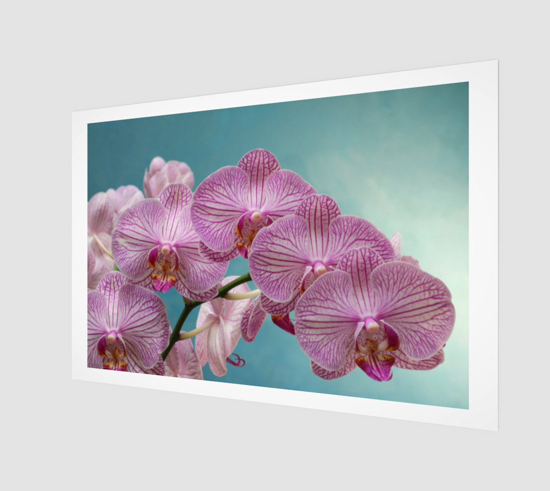 purple orchid preview #1