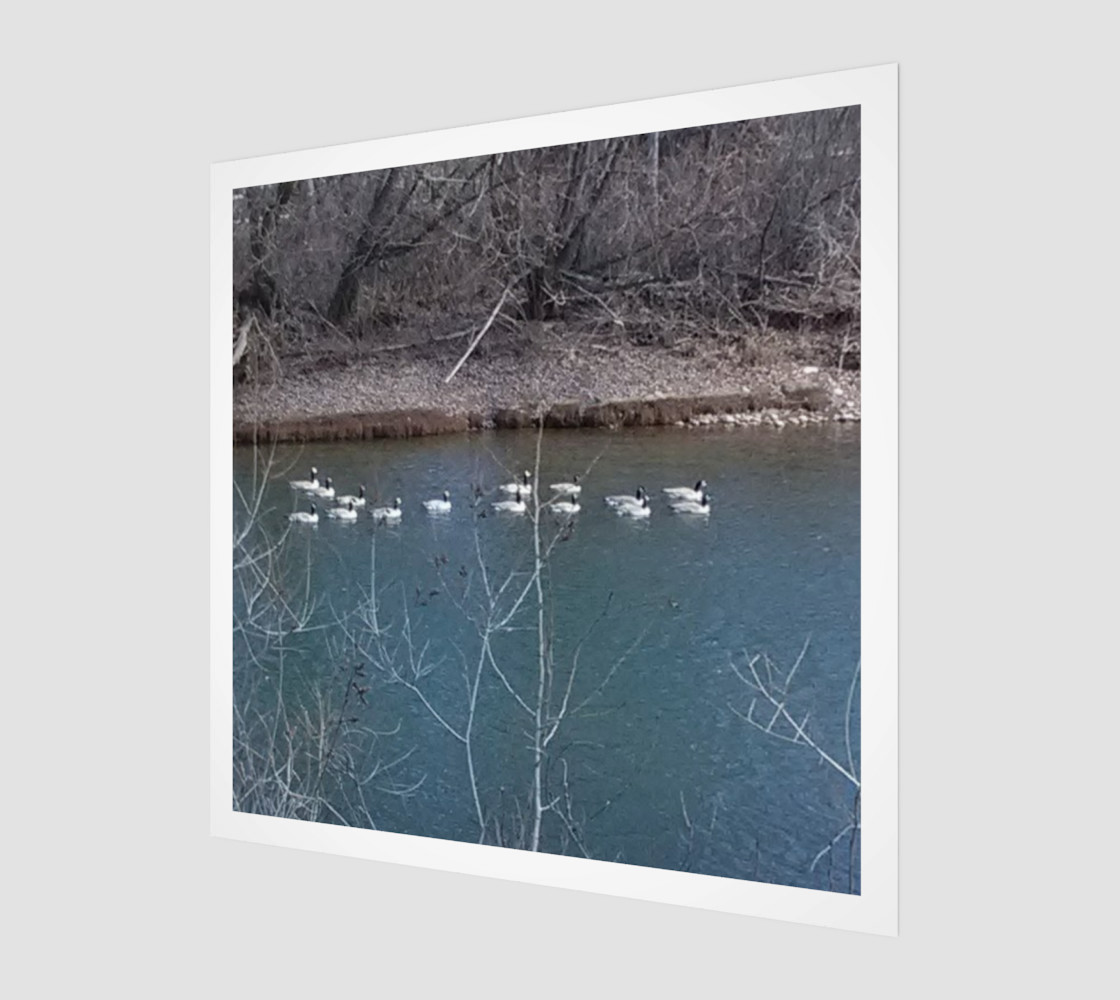 Canadian Geese On The Boise River Wall Art canvas preview #1