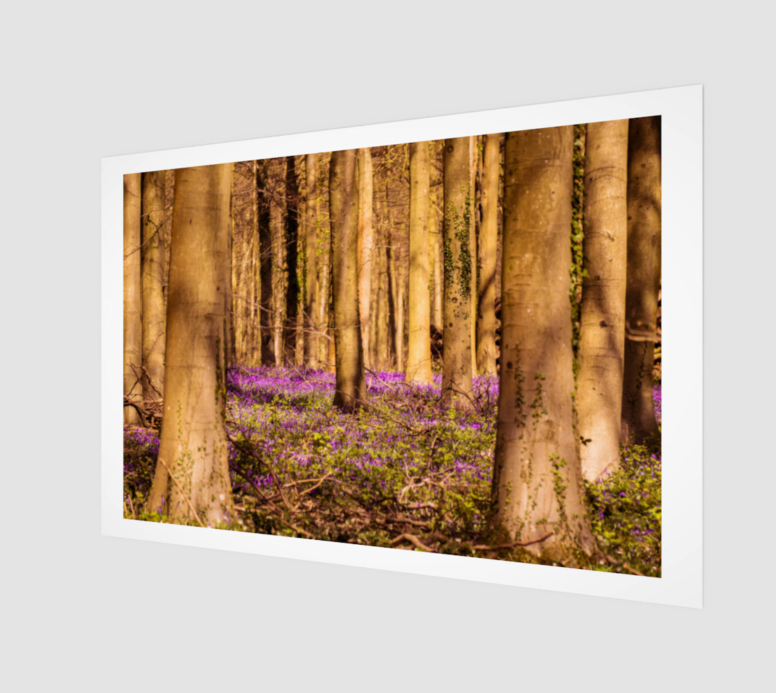 purple forest floor wall art preview #1