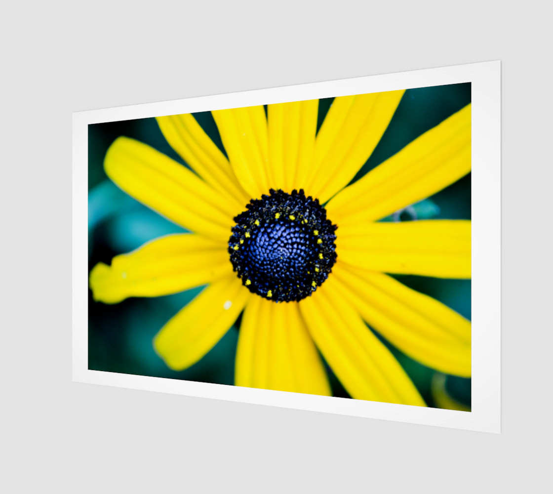 Summer is Coming Wall Art preview #1