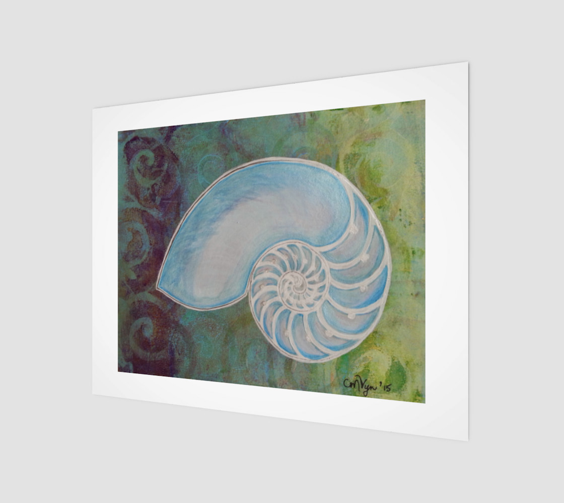 Nautilus Shell Art Print By Michelle Vyn Vine Art Shop Art Of Where