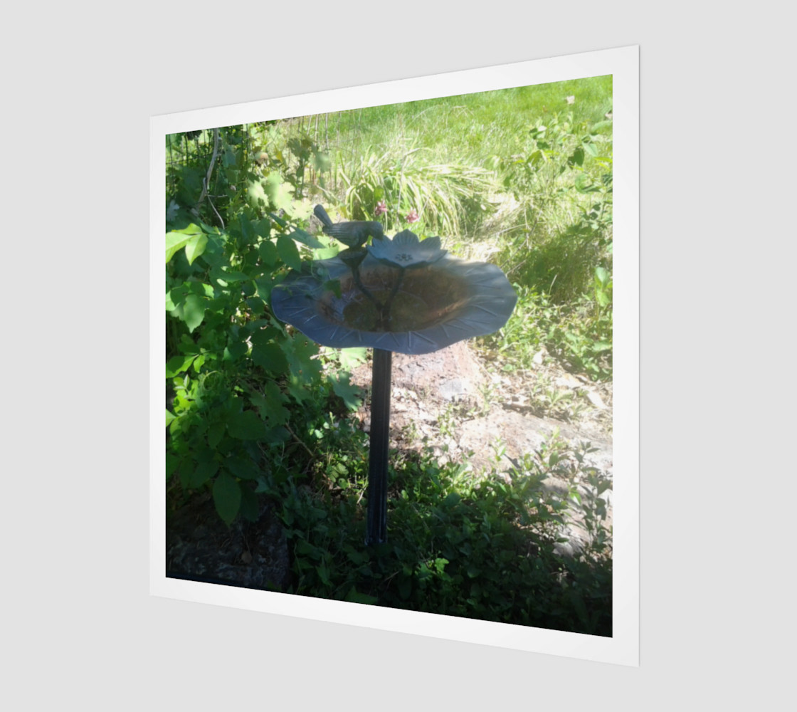 Abandoned Bird Bath Wall Art preview #1