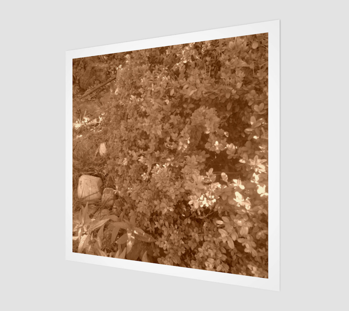 Bush in Sepia Wall Art preview #1