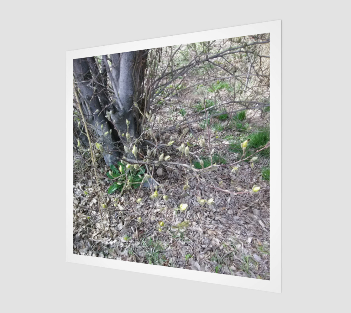 Darling Buds of March Wall Art preview #1