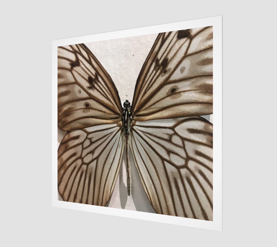 Pinned preview #1