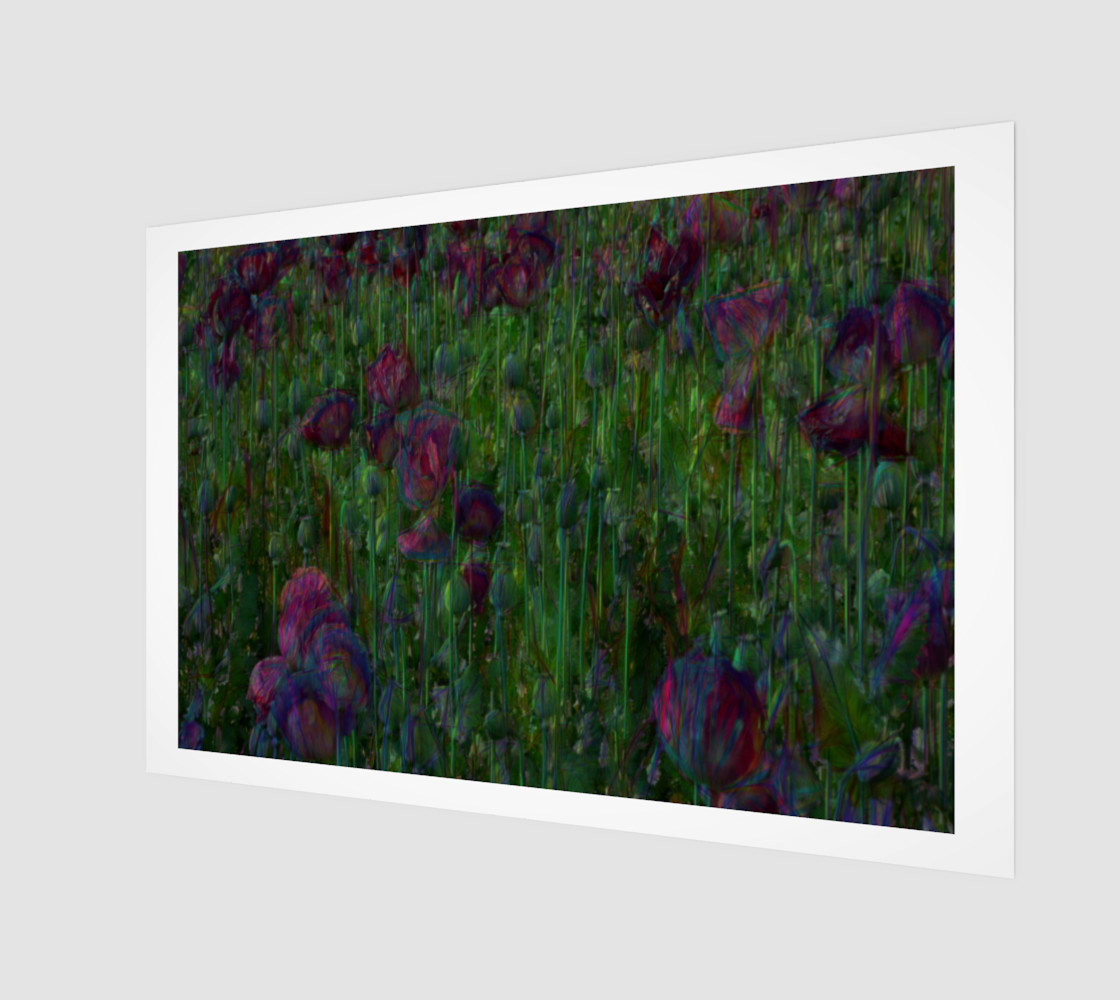 Poppy Meadow preview #1