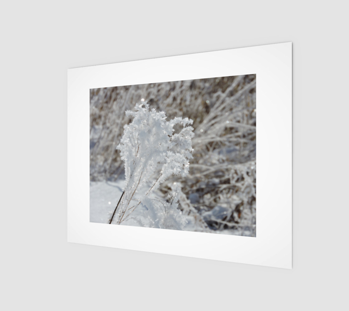 Frosted Feathered Plant preview #1