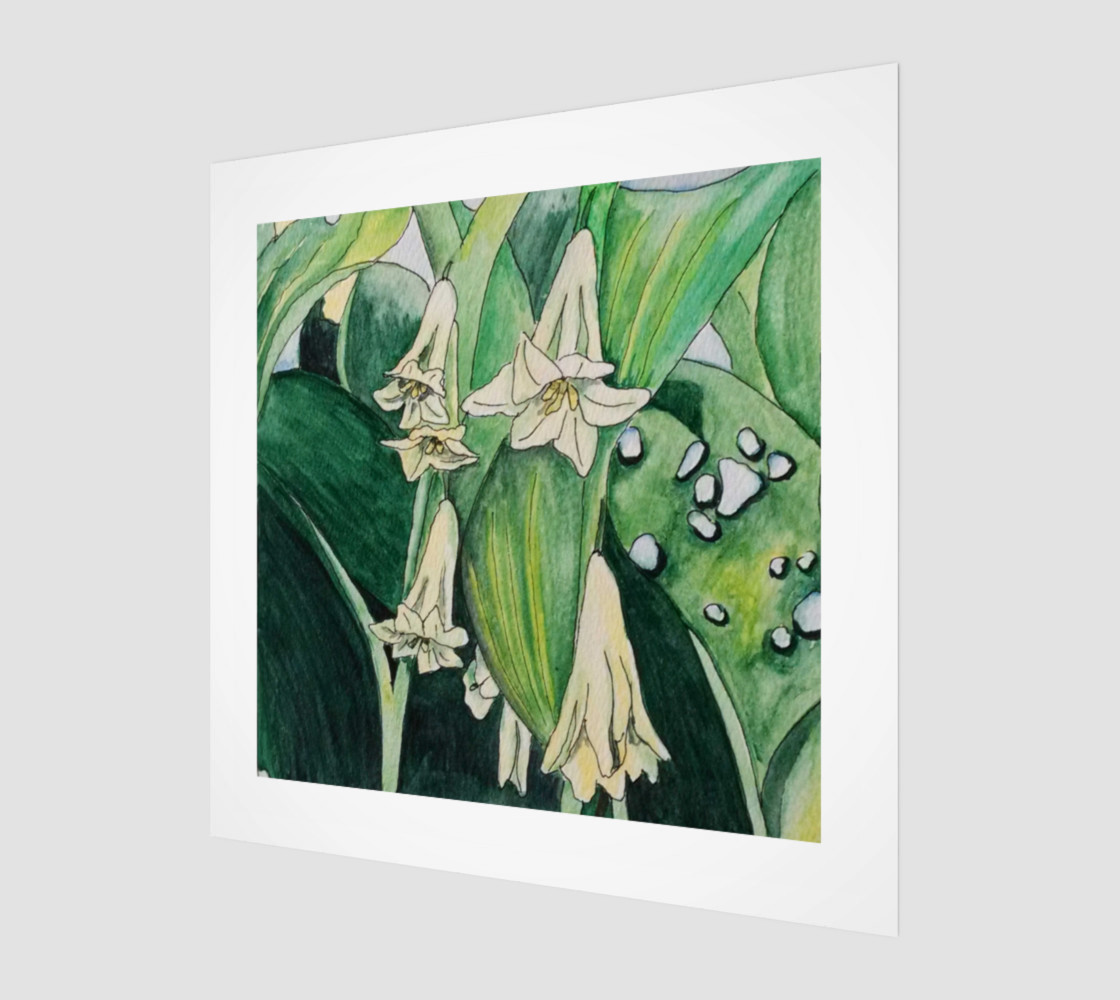 Solomon's Seal preview #1