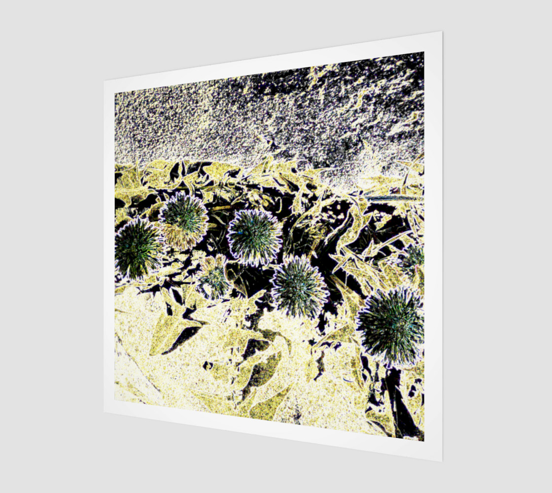 Dandelion Four preview #1