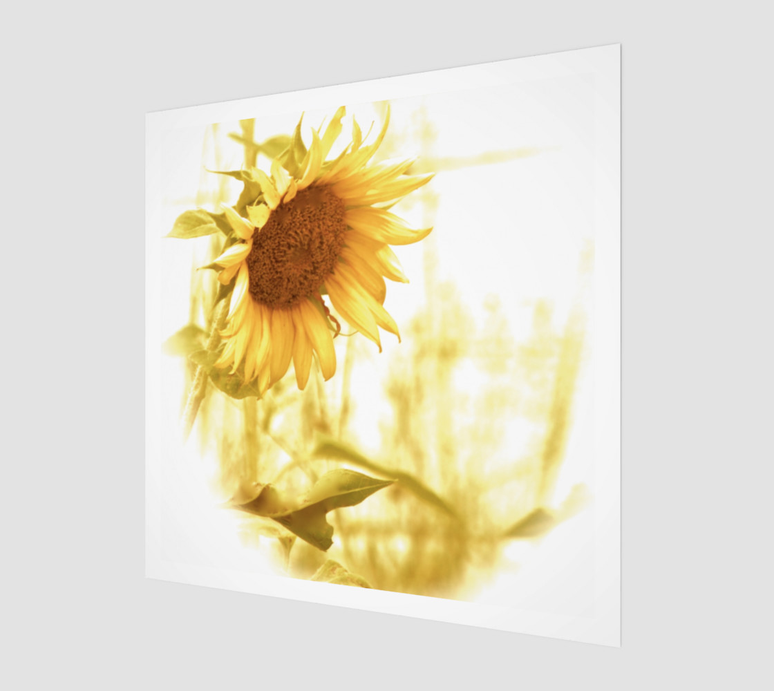 Sunflower in the Light preview #1