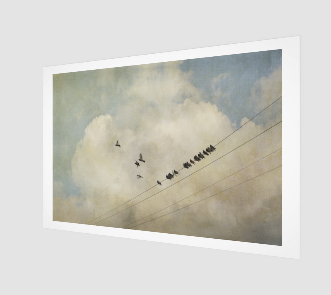 Birds on a Wire preview #1