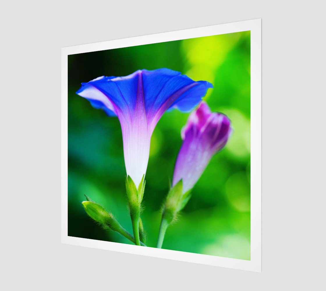 Trumpet Flower preview #1